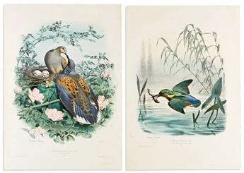 (BIRDS.) Édouard Travies. Group of 6 hand-colored lithographed plates,